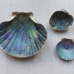 Set of 3 decoupaged scallop shells with a Peacock feather design and gold trim